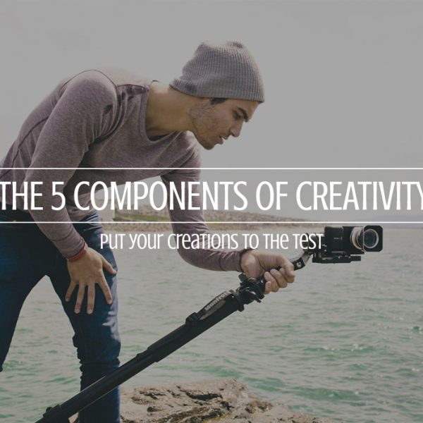 5-components-creativity