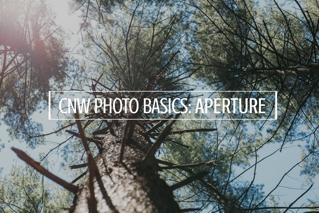 CNW Photography Basics: Aperture Guide